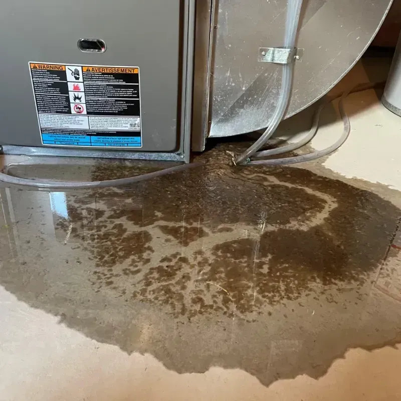 Appliance Leak Cleanup in Mount Vernon, IA